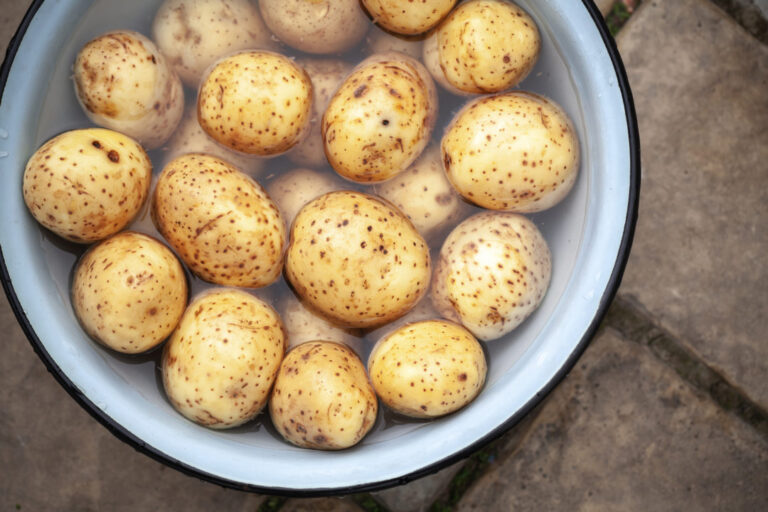 8 nejlepších náhrad brambor s nízkým obsahem sacharidů